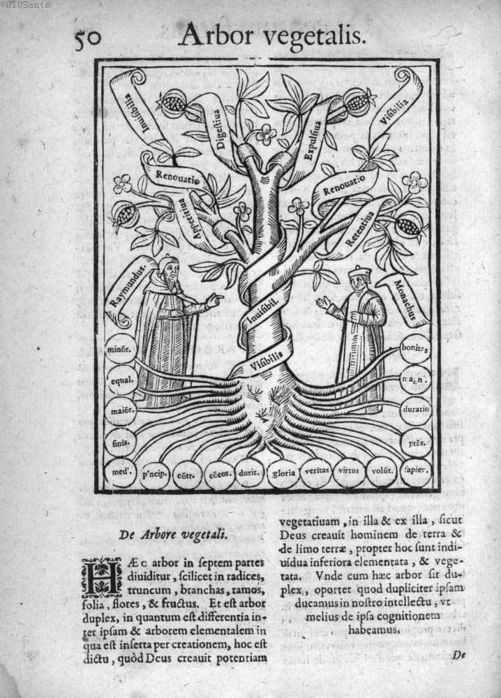 1515 Edition of Llull's Arbor Scientiae