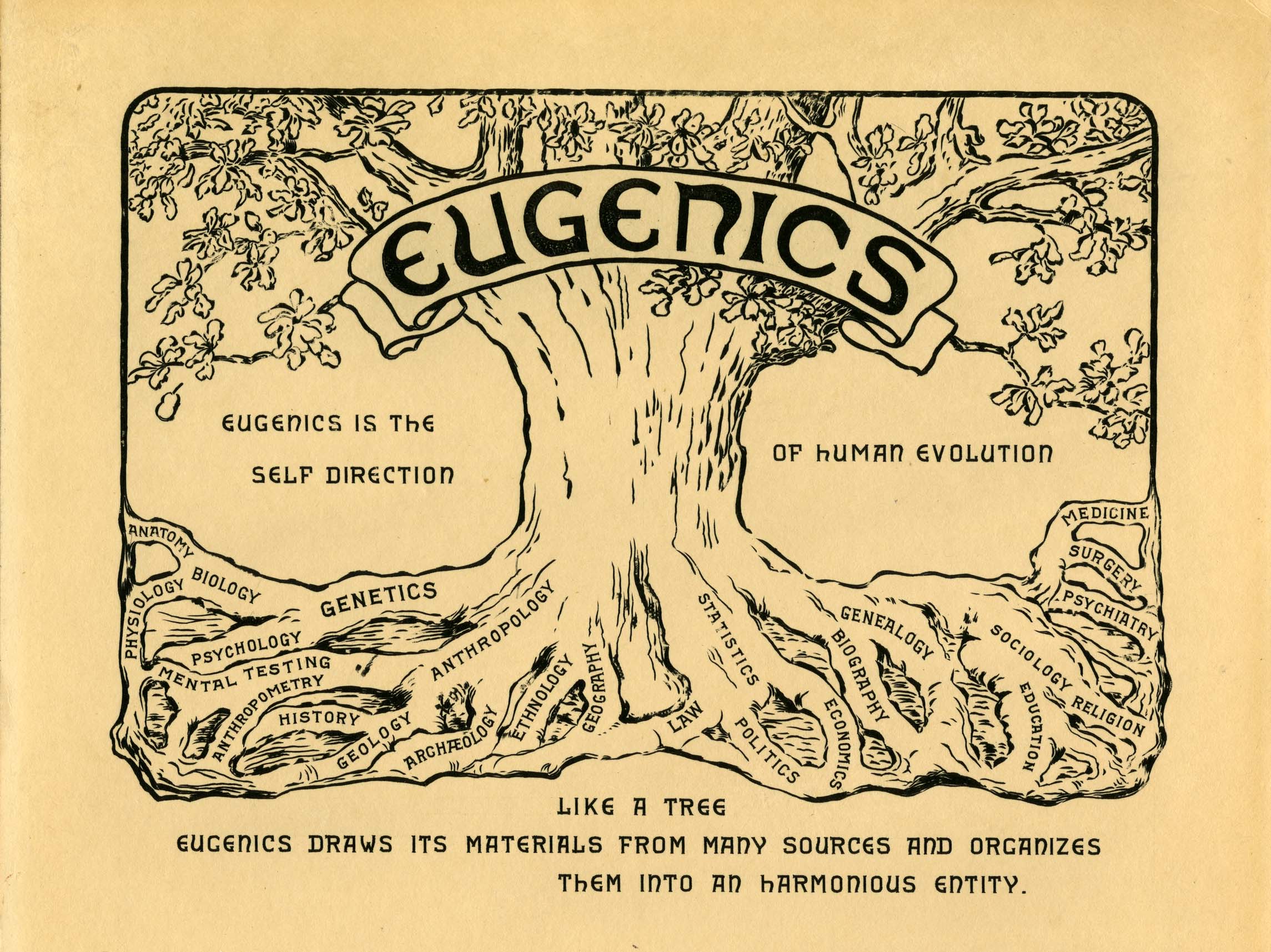 Logo from the Second International Eugenics Congress, 1921